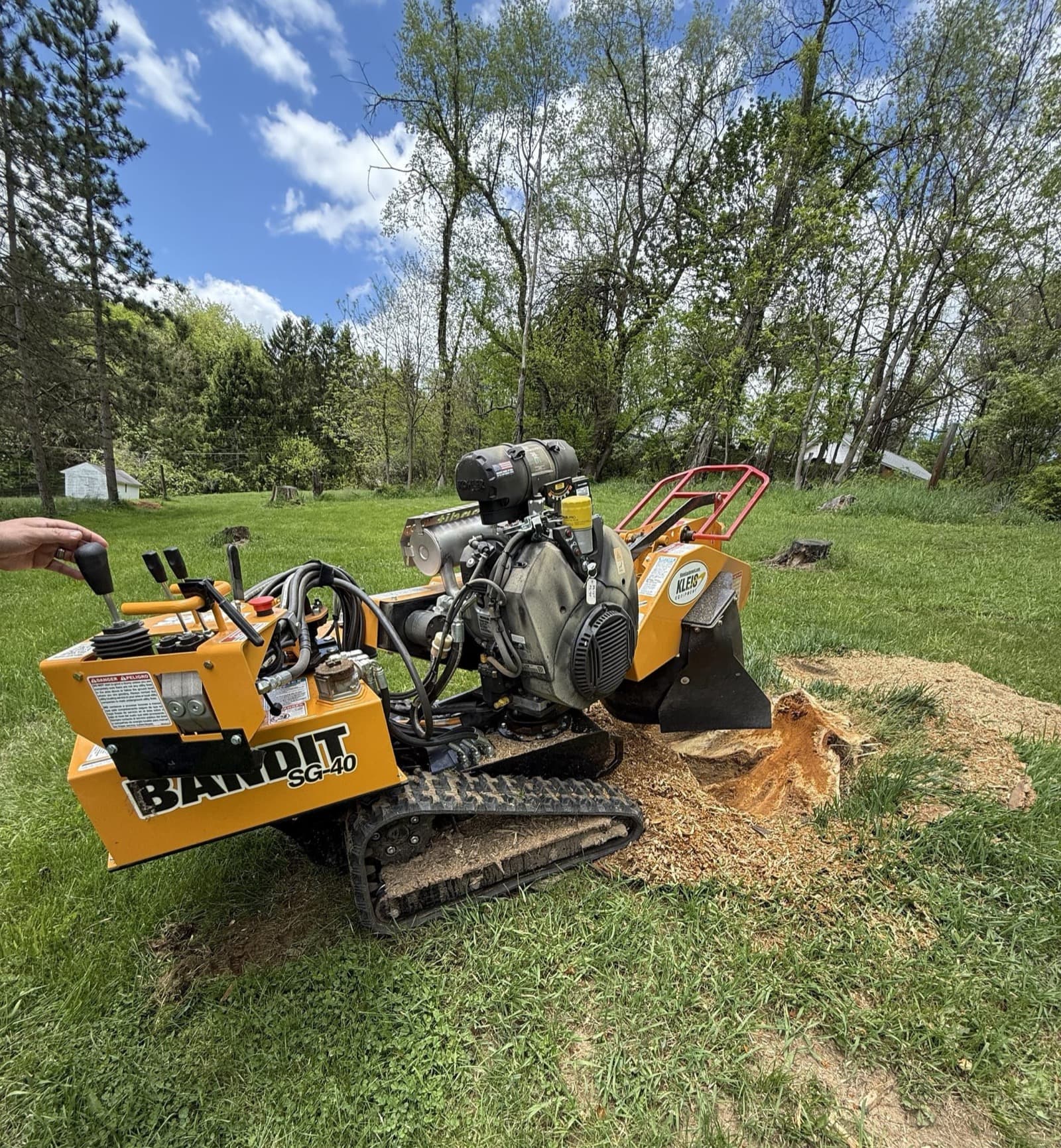 Professional stump grinding in action