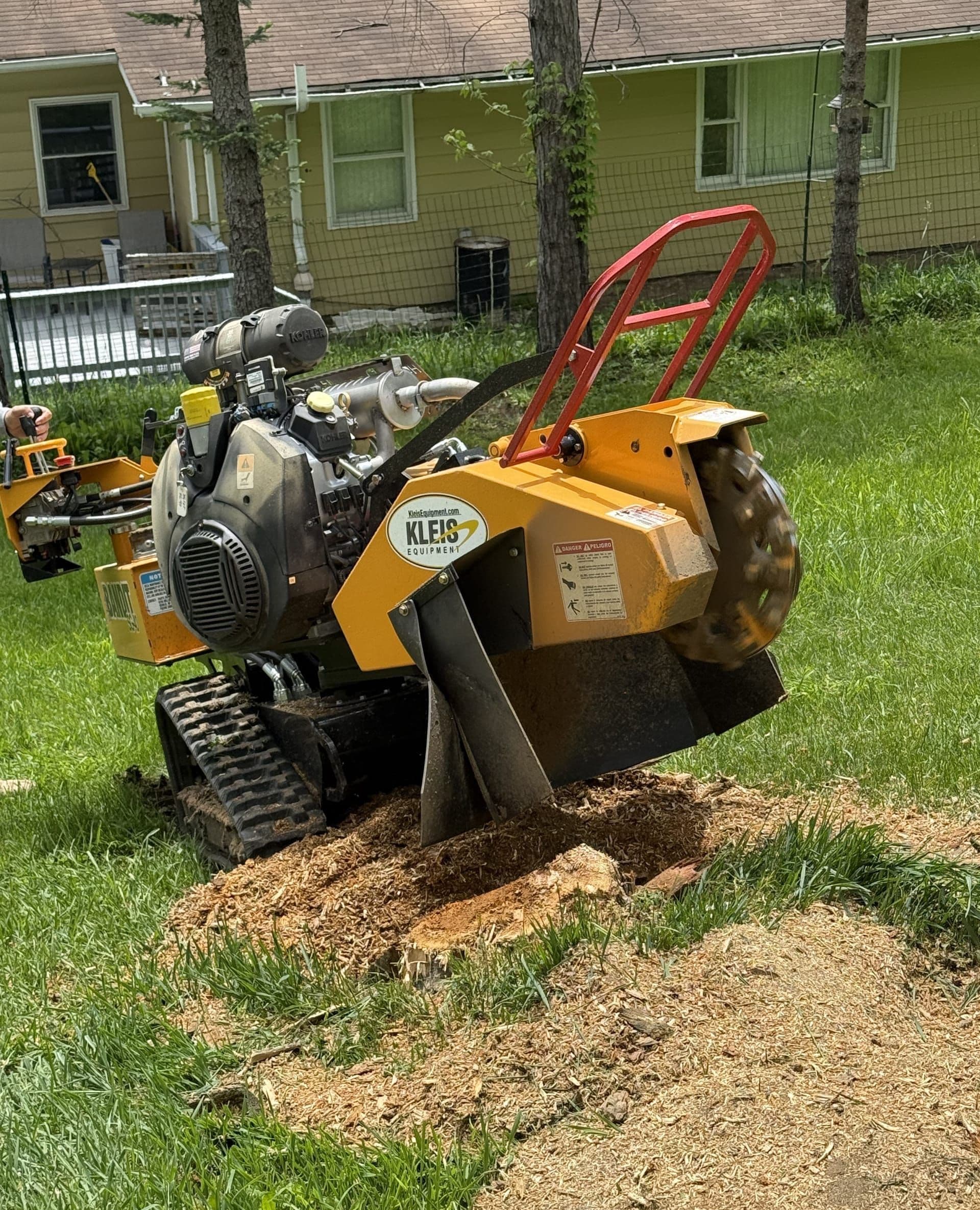 Tree removal and stump grinding service in Washington, PA
