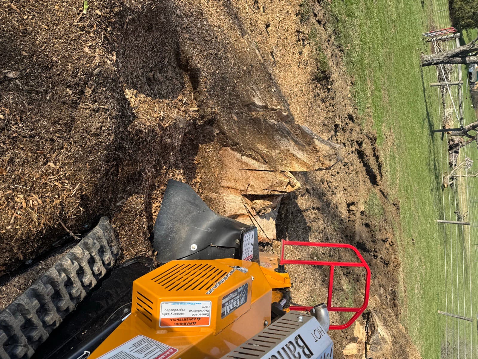 Storm Damage Cleanup